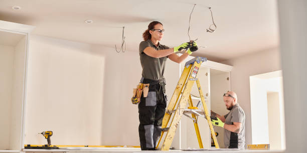 Best Local Electrician Companies  in Lesslie, SC